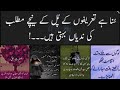 Islamic quotes poetry in urdusha official poetry urdupoetry urduquotes