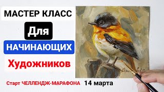 Мастер Класс Маслом Для Начинающих Художников. Старт Челленджа. Напишем 14 Картин.