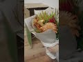 AND PLANTS FLOWERSを開けてみた
