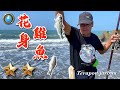 野味二九集 | 花身雞魚 | 照燒魚 | 薑絲清湯 | 遠投 灘釣 | 萍哥Pinger