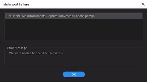 File Import Failure ।। File Import Problem In Adobe Premiere Pro 2019