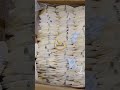DRIED CUTTLEFISH BONE