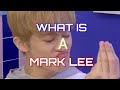 What is a MARK LEE