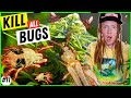 How to kill all bugs  diseases in your garden