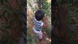 Ma Allarodu Chettu Ekkuthunadu Ma Allarodu Part 28