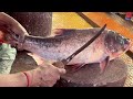 Big Bighead Fish Cutting By Expert Fish Cutter | Amazing Fish Cutting Skills