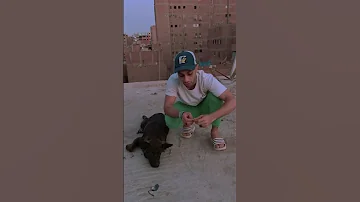 مسيلي علي الناس النقصه يا نمره 