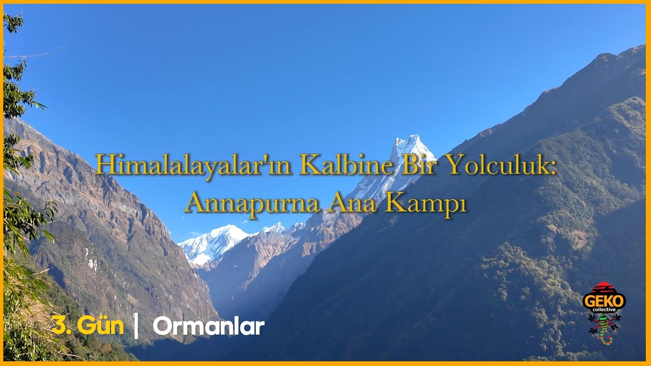 Nepal   Annapurna Ana kamp Yürüyüsü 3. Gün - Ormanlar