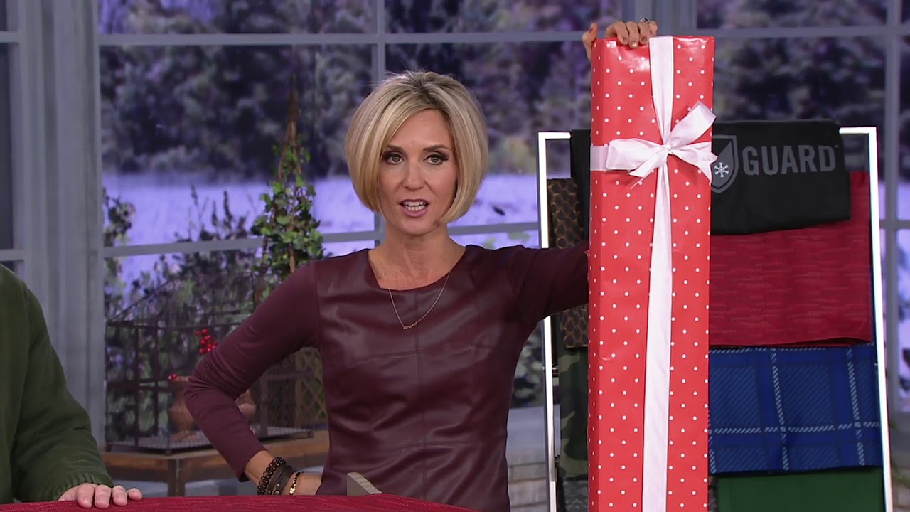 FrostGuard Windshield Cover with 2 Security Panels & Mirror Covers on