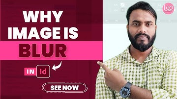 How to See Image in High Quality in Adobe InDesign - Lee Graphics