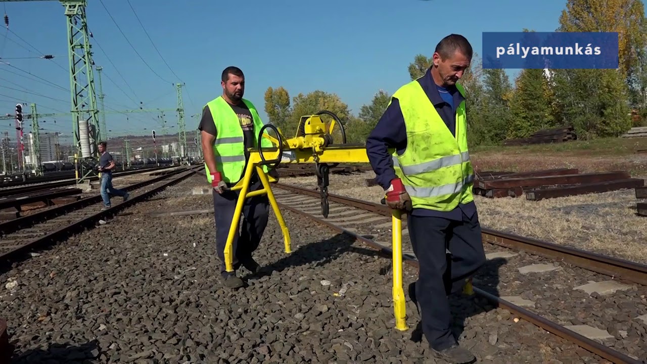 Pályamunkás munkakör