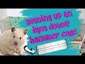 Setting Up A Hamster Cage | IKEA Detolf Review 🐹