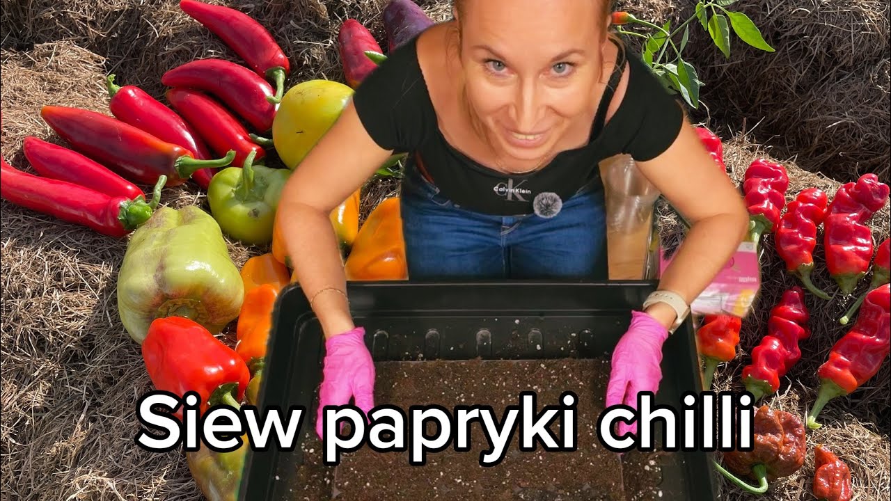 Посев перца чили для раннего урожая — несколько советов