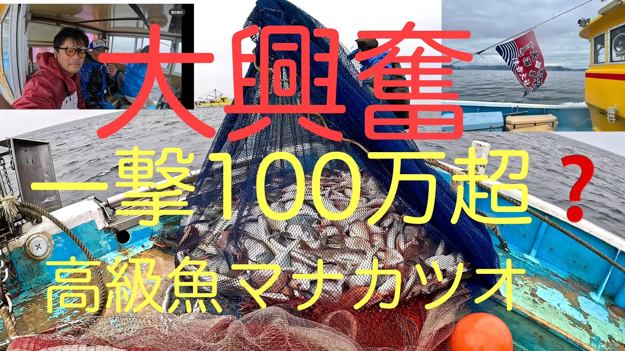 声が震えた❗️夢にまでみた大漁一撃で‼️高級マナカツオGreat excitement with a big catch