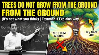 Trees DO NOT Grow From The Ground (It's not what you think) | Feynman's Explains why”
