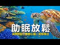 夢幻海底世界沉浸式體驗 δ 波音樂助眠放鬆冥想 療癒海洋聲白噪音 夢幻海底世界沉浸式體驗 δ 波音樂助眠放鬆冥想 療癒海洋聲白噪音