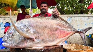 KASIMEDU 🔥 SPEED SELVAM | 31 KG GIANT TREVALLY FISH CUTTING | IN KASIMEDU | HD VIDEO | FF CUTTING🔪