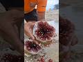 I Broke This Rock Open… And Found Red Crystal Treasure Inside! 💎🔥