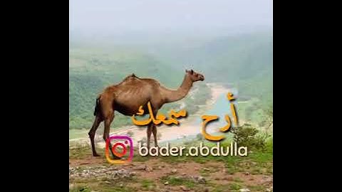 سورة العاديات - سعيد الخطيب