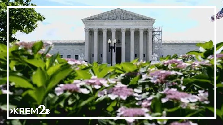 Supreme Court rules it's not unconstitutional to disarm people who pose a 'credible threat' to other - DayDayNews