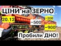 Ціни на зерно 20.12! Пшениця та Ячмінь падають. Соняшник -850. Іноземці зможуть купувати землю?