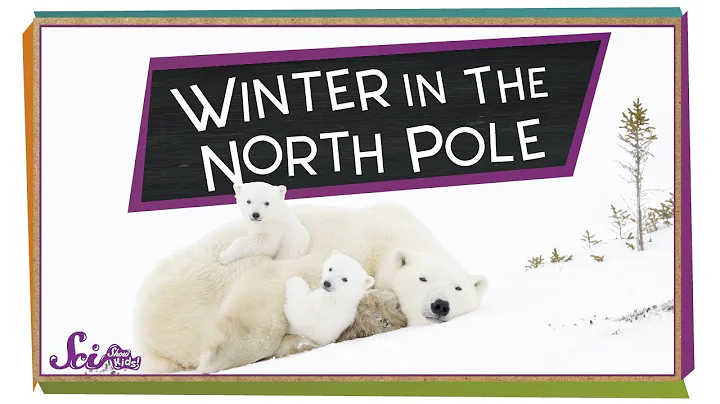 Winter at the North Pole! | Winter Science | SciShow Kids - DayDayNews