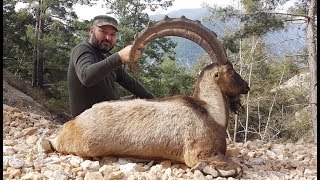 BEZOAR IBEX HUNTING RECEP ECER &amp; MUSTAFA AVCI  FRONTIER