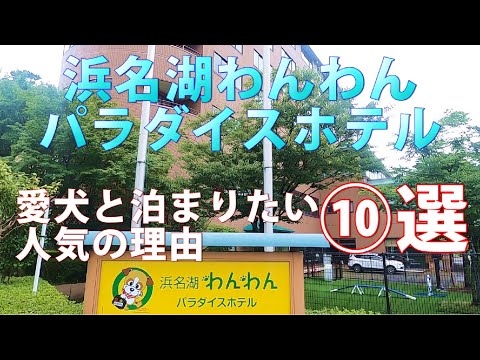 【浜名湖わんわんパラダイスホテル】愛犬と泊まりたい理由⑩選