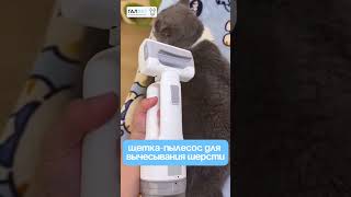 Щетка-пылесос для вычесывания шерсти