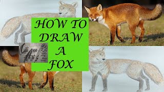 How To Draw A Fox Easy | Step By Step Pencil Drawing Tutorial