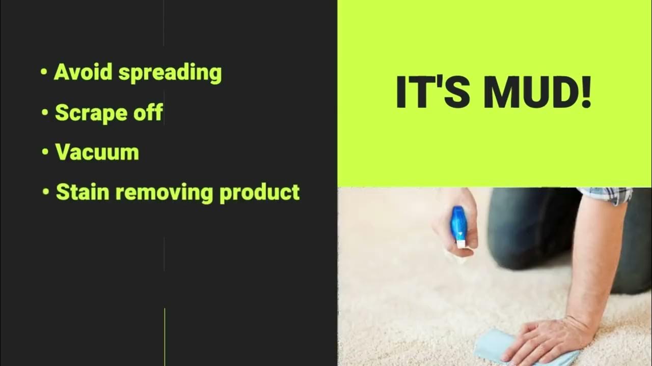 Carpet Cleaning Lehi UT Shares Tips about Cleaning Mud from Carpet