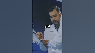 Did Dinosaurs Really Exist? 🤔