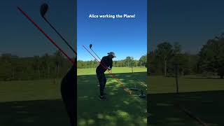 Fundamesound swing from down the line! #womensgolf #golfswing #golftips