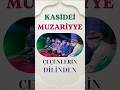 Kasidei Muzariyye #kaside #neşid #ilahi #dinimahnilar #dinimusiqiler #şiir #şeirler #çeçen #zikir