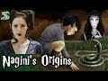 Nagini's Origins, How Did She Meet Voldemort?
