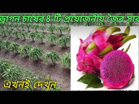 ভিডিও: কেন জৈব সার ব্যবহার করা গুরুত্বপূর্ণ?