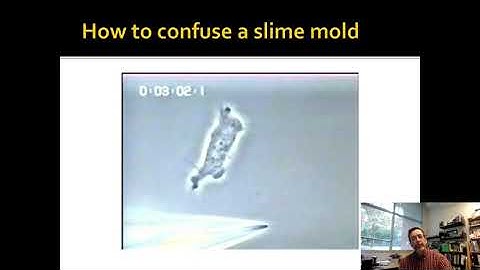 Signaling starts with first and second messengers (4361 2022 Ch 12 Part 1 of 4)