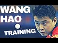 Training With WANG HAO and LIN GAOYUAN (Rare Private Record) @ WORLD CUP 2017 TABLE TENNIS