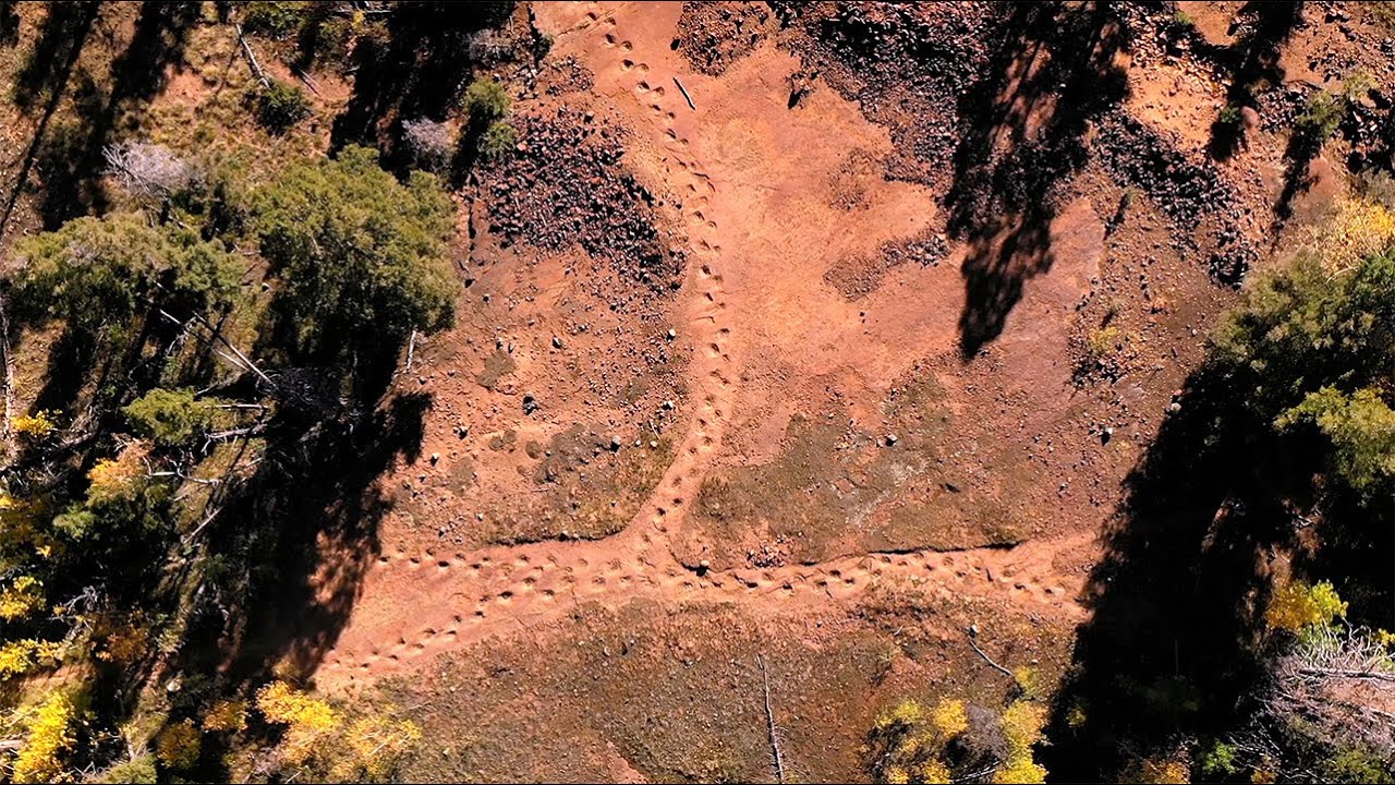 Drone captura pegadas de dinossauro em trilha - veja o v&iacute;deo - Olhar Digital