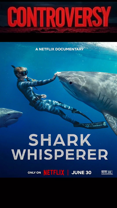 Ocean Ramsey: It’s  Crazy to Kill Sharks #oceanramsey #shark
