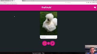 LiveCoding in Elm - Petindr - Part 1