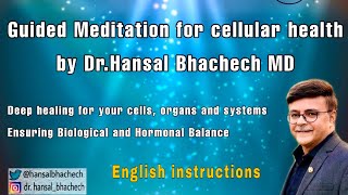 Guided Meditation For Your Cellular Health By Dr Hansal Bhachech English