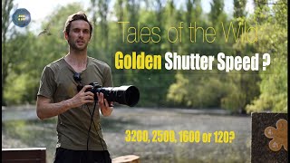 Tales of the Wild - Golden Shutter Speed ?