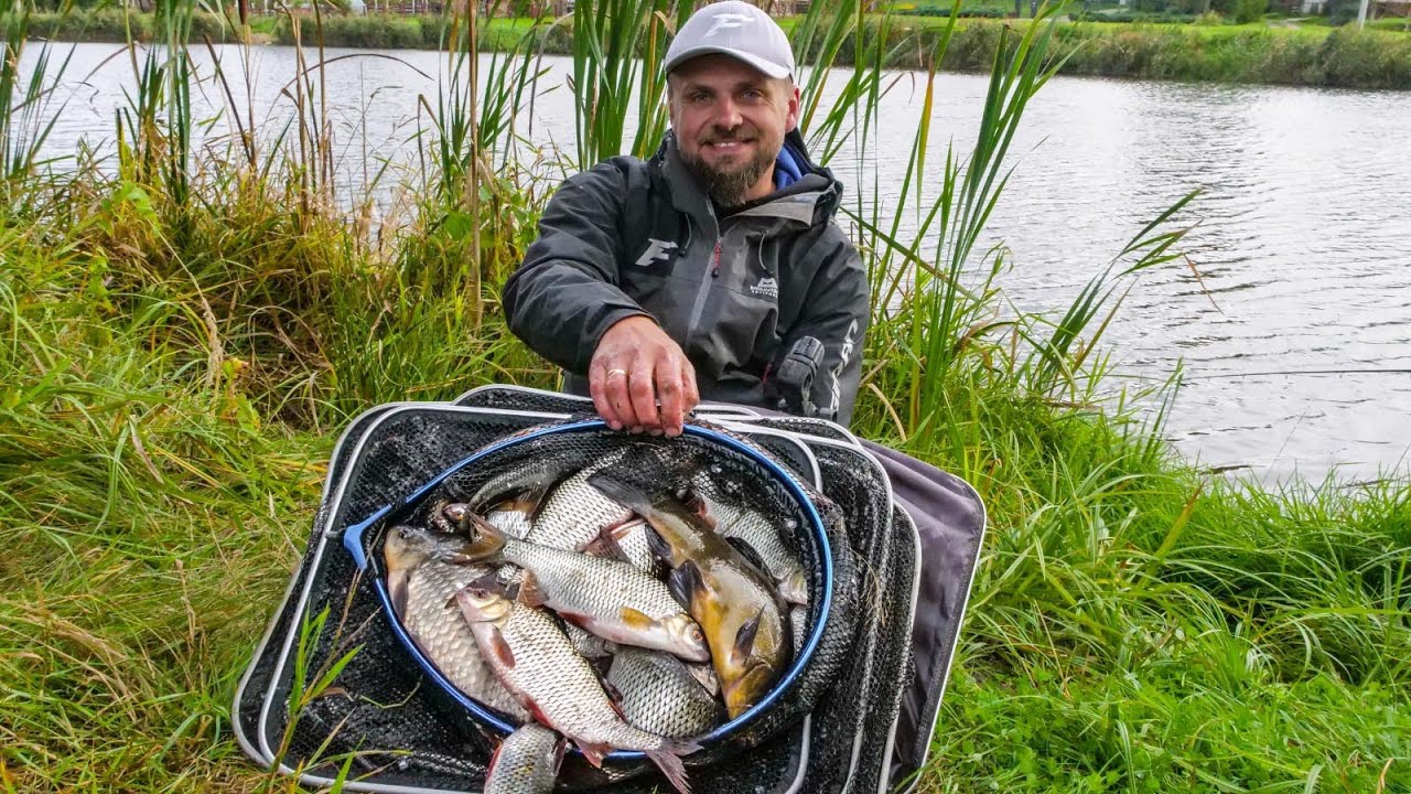 Jesienne płocie na klasyczny feeder