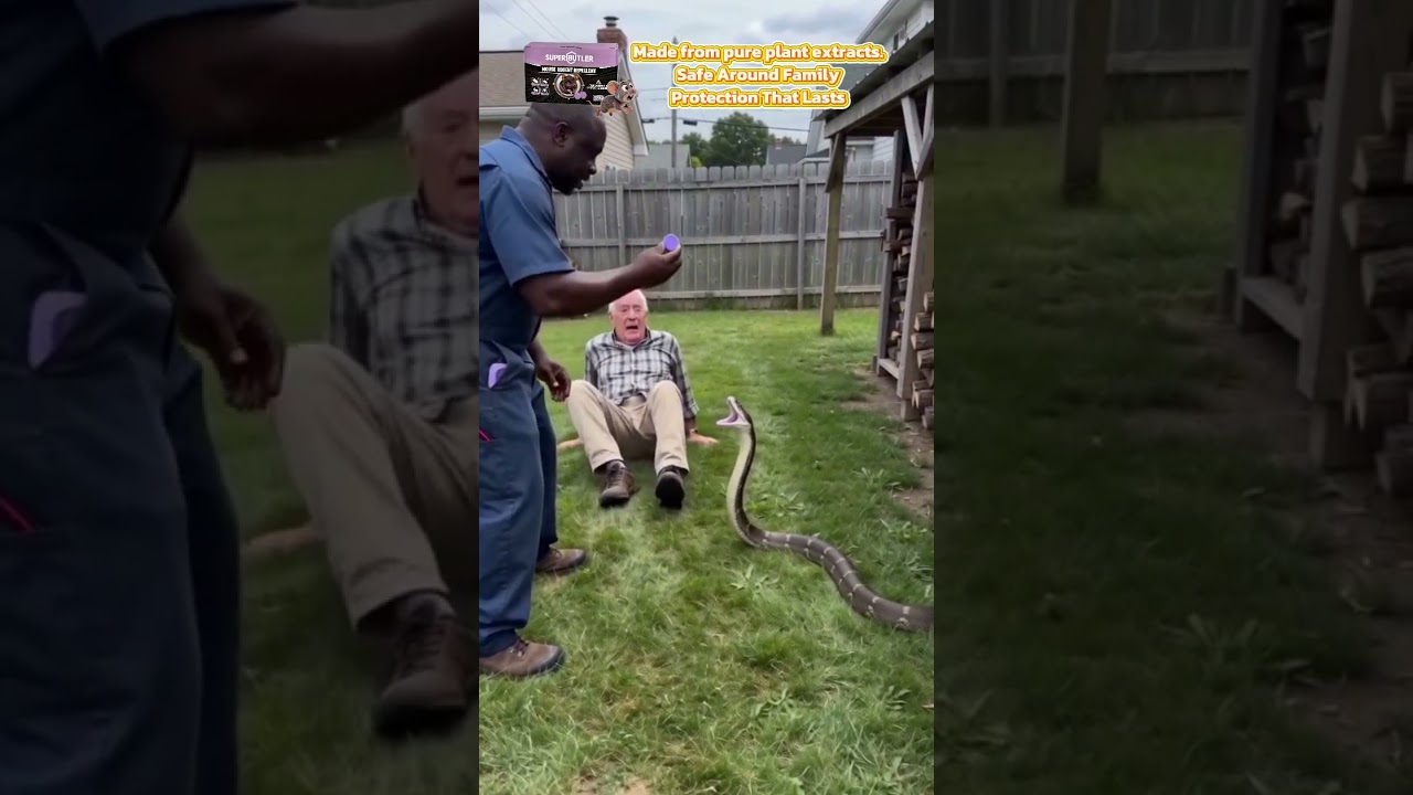 Grandpa Had a Snake and a Raccoon Before the Pest Repeller Even Arrived 😂🐍🦝