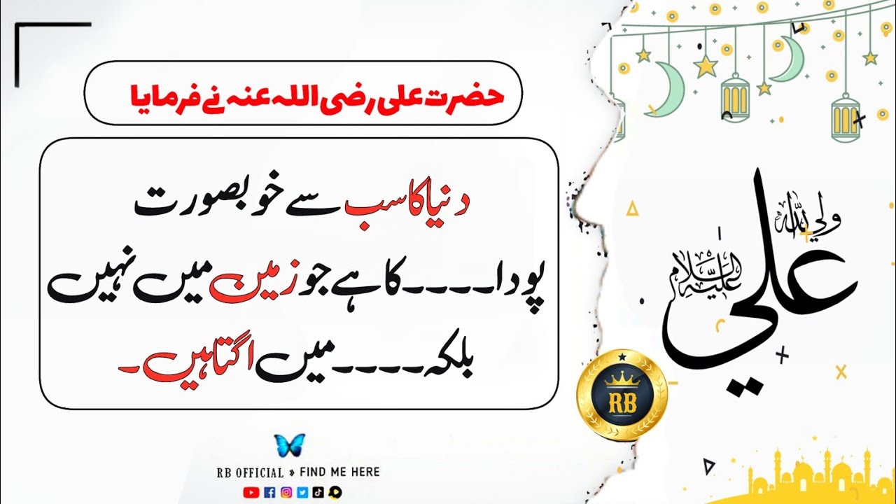 Important Sayings Of Hazrat Ali | Episode 2 | Best Of Hazrat Ali RZ ...