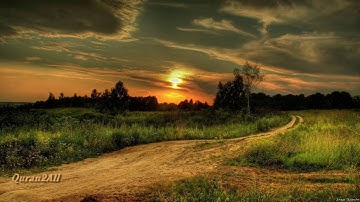 القران  الكريم سورة  غافر Quran coran