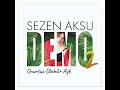 Sezen Aksu - Onursuz Olabilir Aşk (Audio)