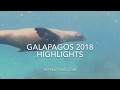 Galapagos 2018 highlights with retreatours