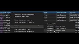 DID YOU RIGHT CLICK AND COPY AS POWERSHELL ON ROBLOX?